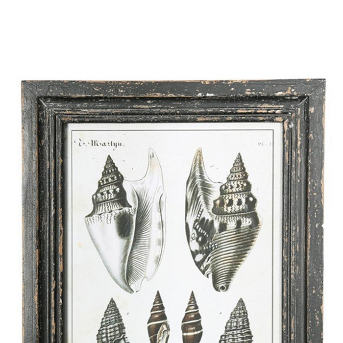Rectangular Wooden Wall Art with Seashells, Assortment of 4,Black and White