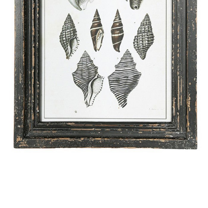 Rectangular Wooden Wall Art with Seashells, Assortment of 4,Black and White