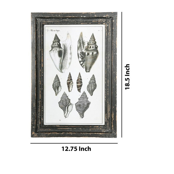 Rectangular Wooden Wall Art with Seashells, Assortment of 4,Black and White
