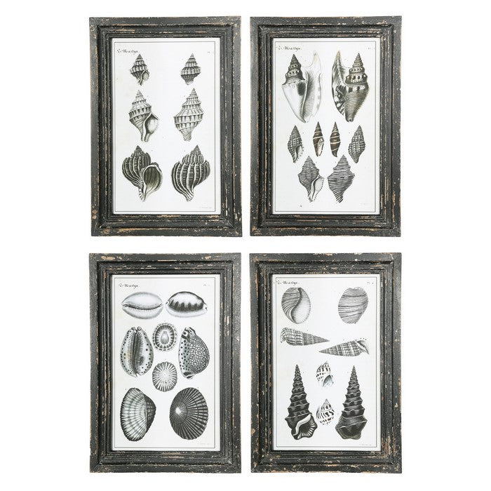 Rectangular Wooden Wall Art with Seashells, Assortment of 4,Black and White