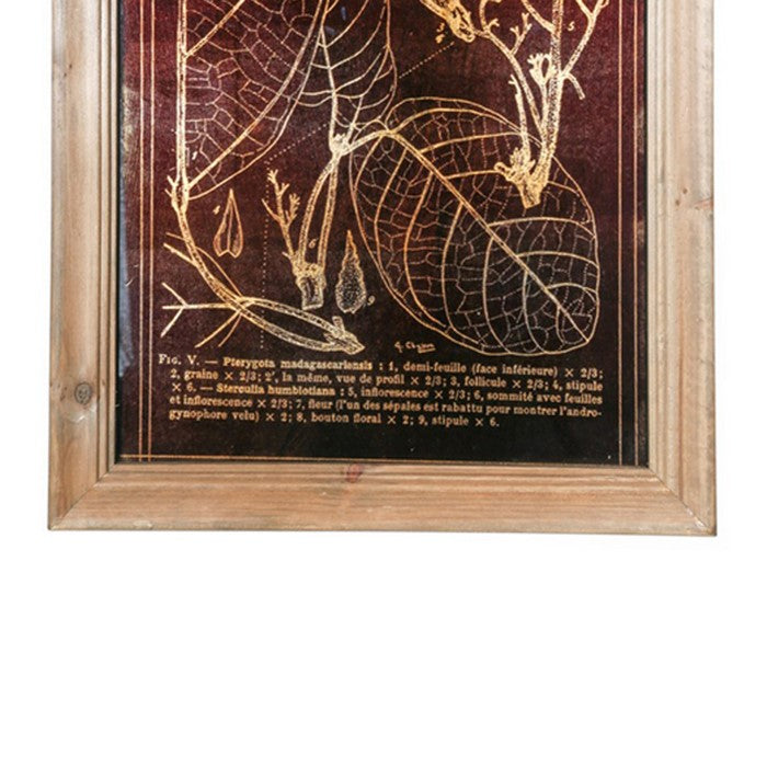 Rectangular Wooden Wall Art with Leaf Prints, Assortment of 4, Brown