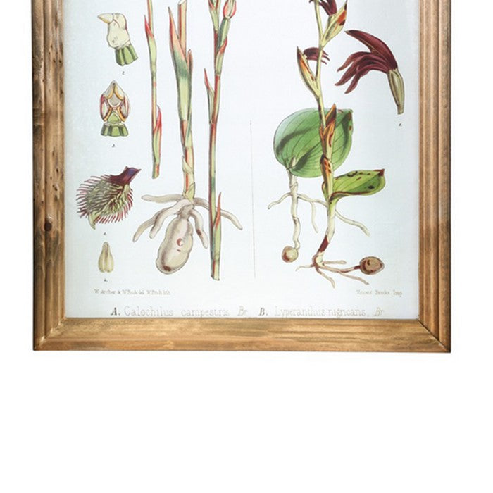 Rectangular Wooden Wall Art with Orchid Theme, Assortment of 4, White