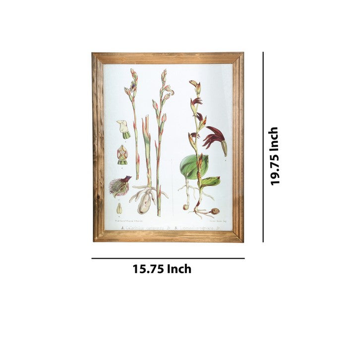 Rectangular Wooden Wall Art with Orchid Theme, Assortment of 4, White