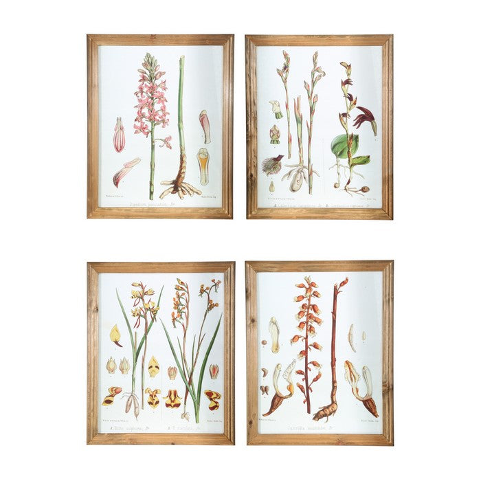 Rectangular Wooden Wall Art with Orchid Theme, Assortment of 4, White