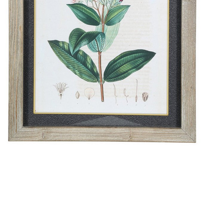 Rectangular Wooden Wall Art with Botanical Theme, Assortment of 4, White