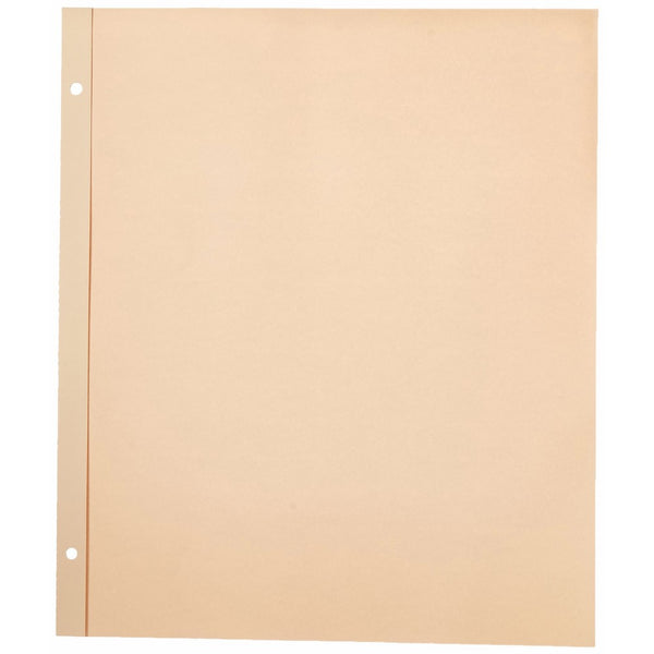 Pioneer 11-Inch-by-14-Inch, Postbound Refill Pages, 25 Per Package