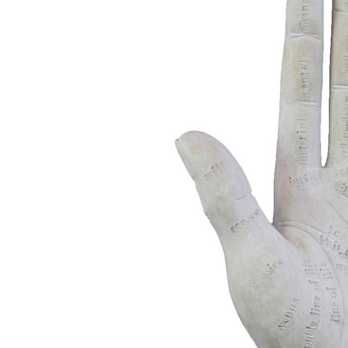 Polyresin Palmistry Hand Sculpture with Engraved Labels, Set of 2, White