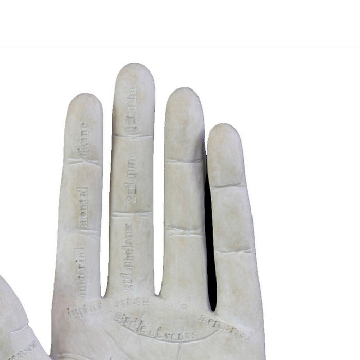 Polyresin Palmistry Hand Sculpture with Engraved Labels, Set of 2, White
