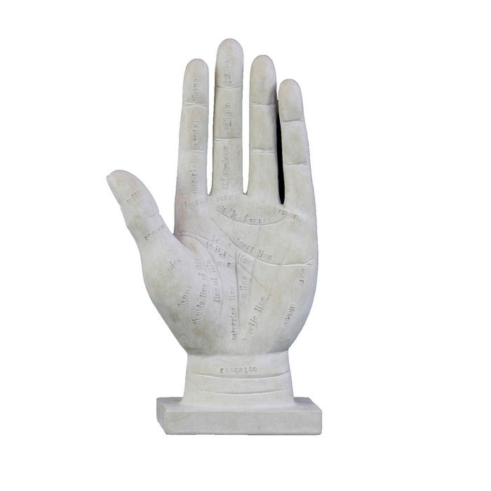 Polyresin Palmistry Hand Sculpture with Engraved Labels, Set of 2, White