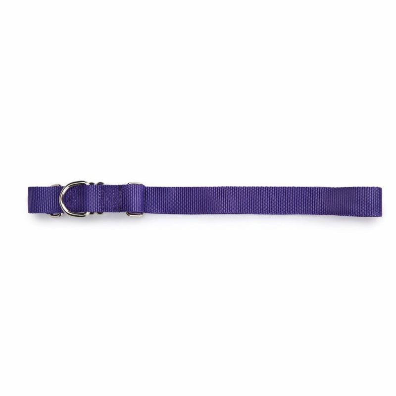 Guardian Gear Nylon Martingale Dog Collar, Fits Necks 10" to 16", Ultra Violet