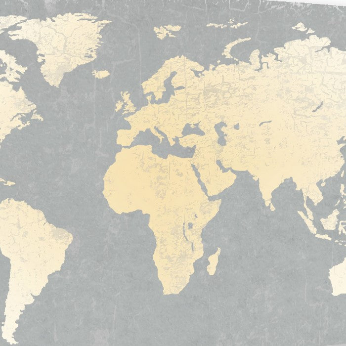 Wooden Surfboard Wall Art with World Map Print, Gray and White