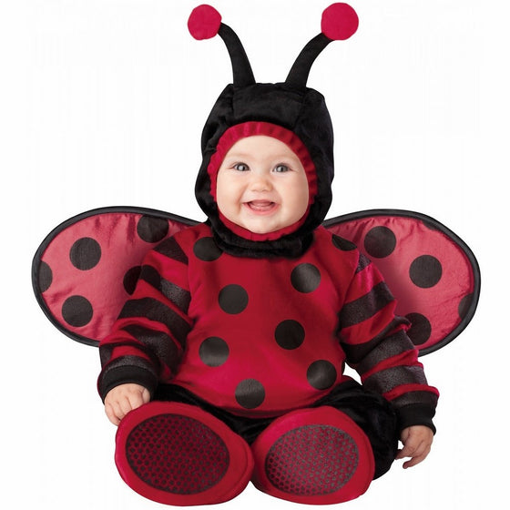 InCharacter Costumes Baby's Itty Bitty Lady Bug Costume, Red/Black, Medium