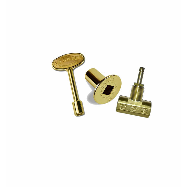 Dante Products Combo Pack with Straight 1/2-inch Globe Valve, Polished Brass Floor Plate and 3-inch Key