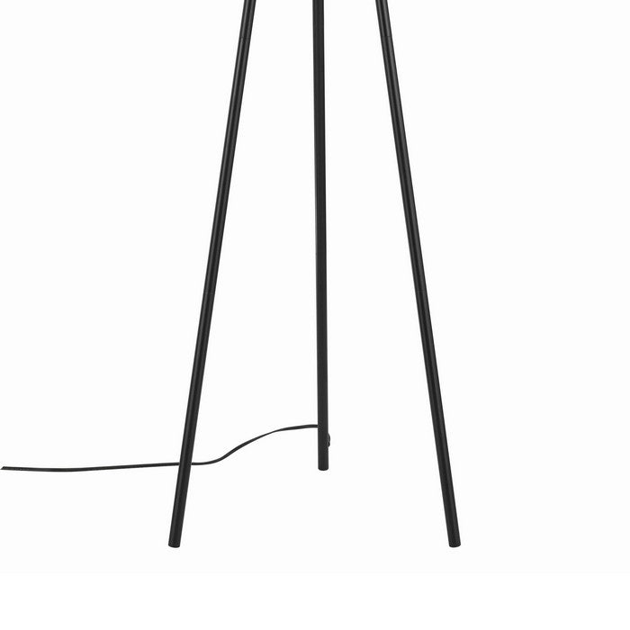 Tapered Fabric Shade Floor Lamp with Metal Tripod Base, Black and Brown