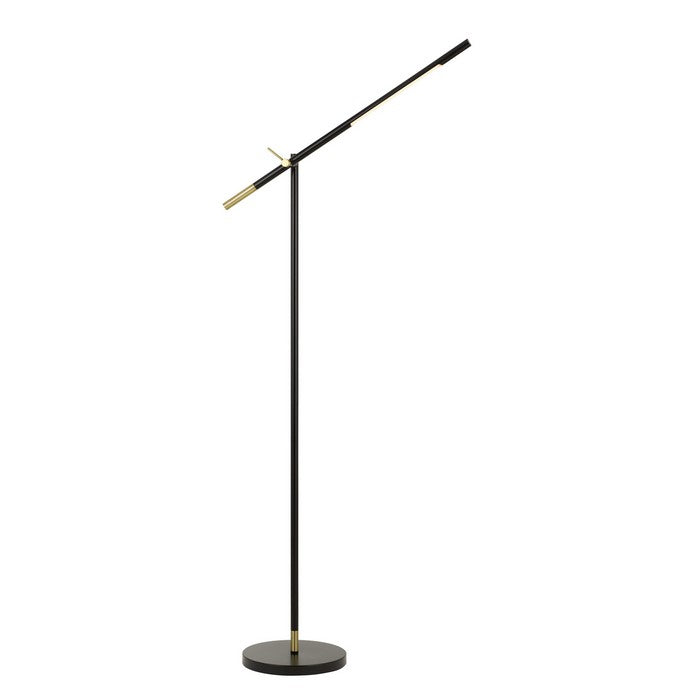 10 Watt Adjustable Metal Frame Floor Lamp, Black and Brass