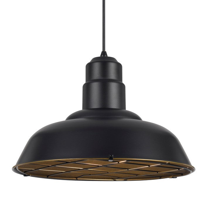 Metal Round Shade Pendant Lighting with Wire Cage Design Head, Black