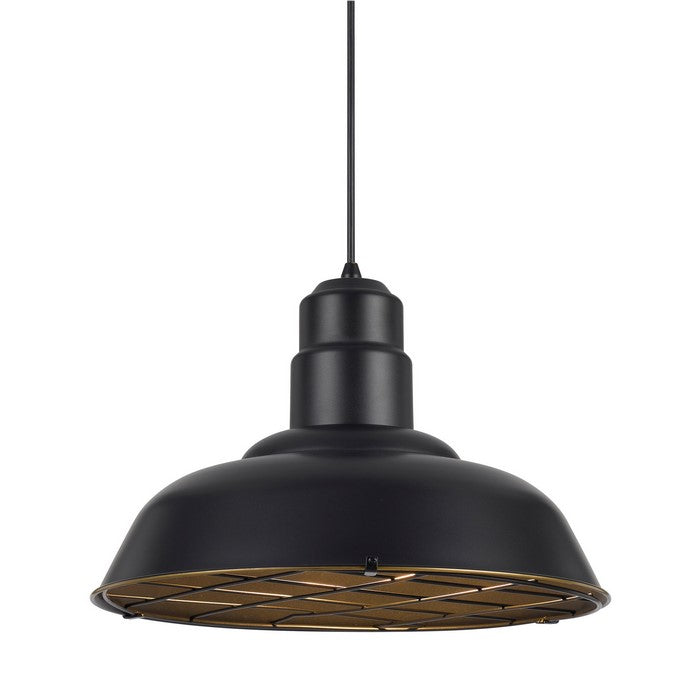 Metal Round Shade Pendant Lighting with Wire Cage Design Head, Black