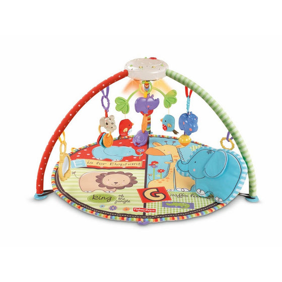 Fisher-Price Luv U Zoo Deluxe Musical Mobile Gym