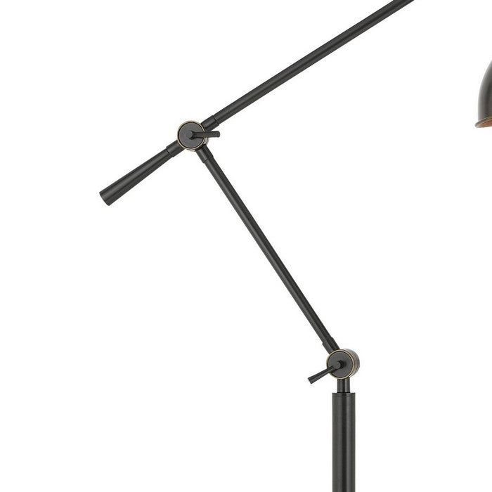 100 Watt Metal Body Floor Lamp with Adjustable Height and Head, Black