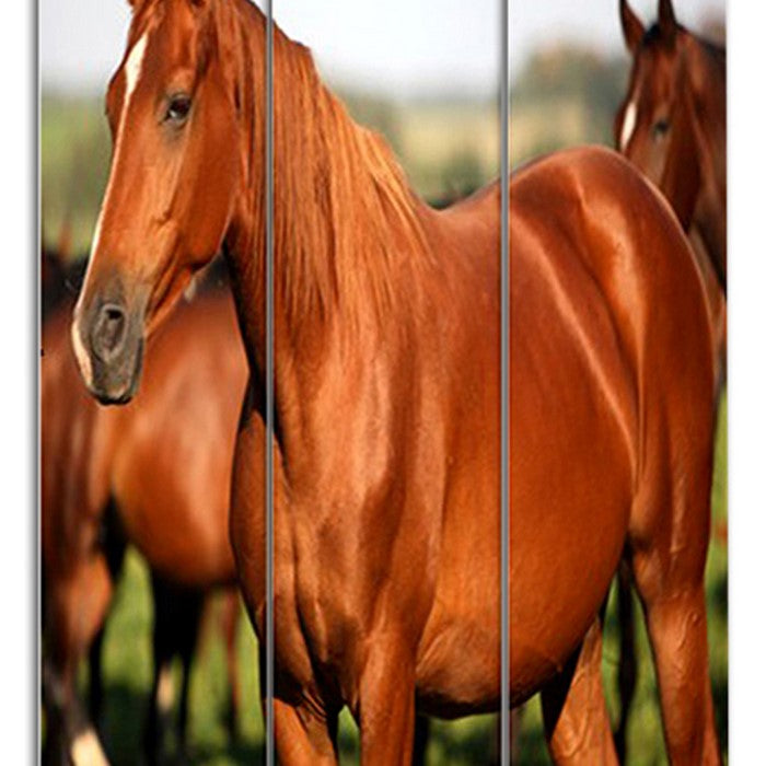 3 Panel Foldable Wooden Screen with Horse Print, Brown