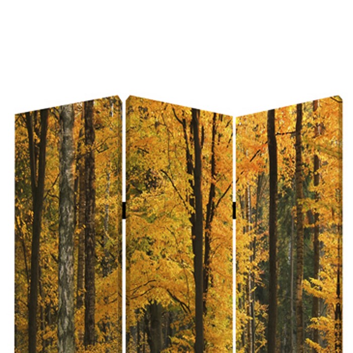 Foldable Canvas Screen with 3 Panel Autumn Forest Print, Multicolor