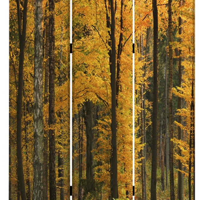 Foldable Canvas Screen with 3 Panel Autumn Forest Print, Multicolor