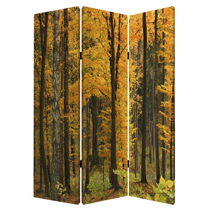 Foldable Canvas Screen with 3 Panel Autumn Forest Print, Multicolor