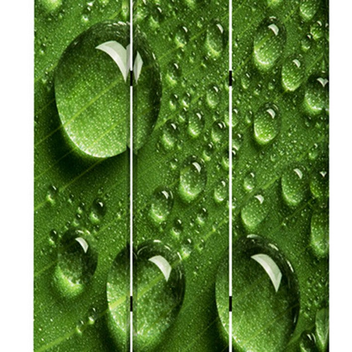 Morning Dew Print Foldable Canvas Screen with 3 Panels, Green