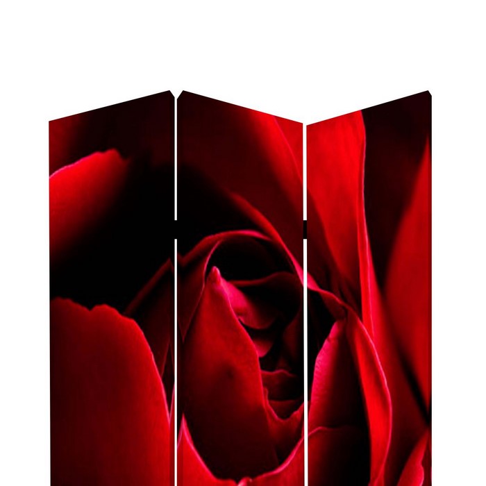 3 Panel Foldable Canvas Screen with Rose Print, Red