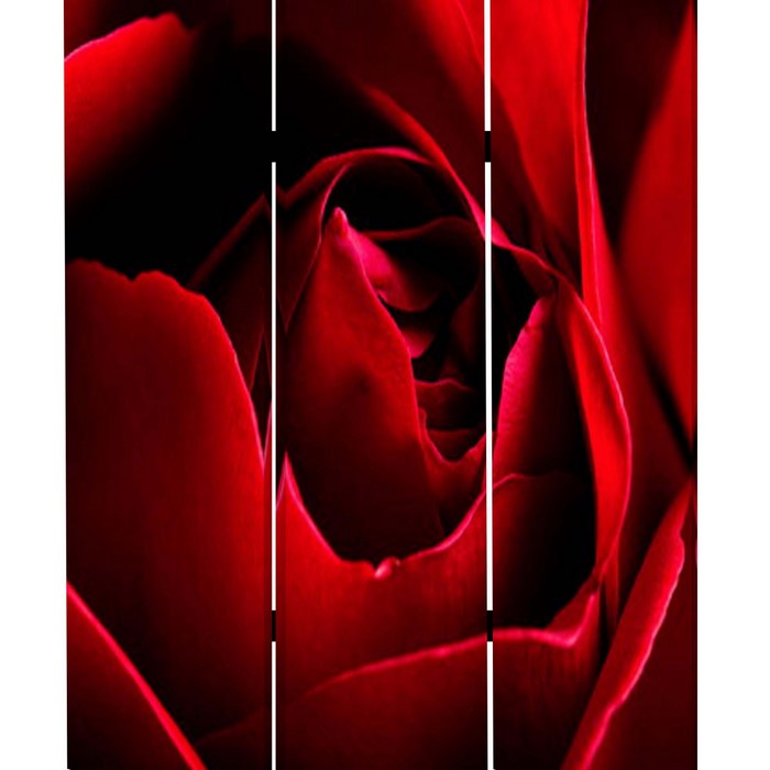 3 Panel Foldable Canvas Screen with Rose Print, Red