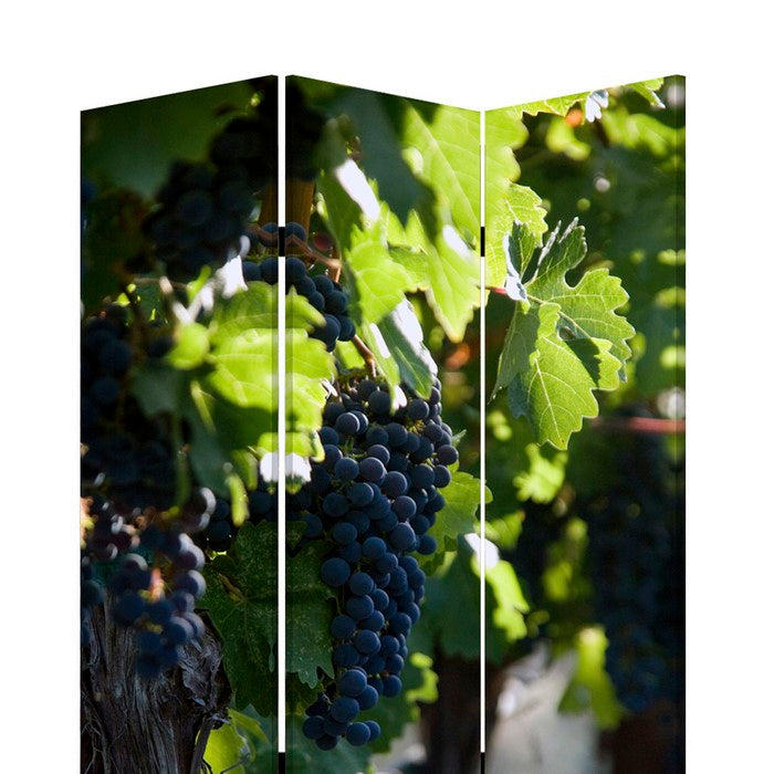 Grape Vine Print Foldable Canvas Screen with 3 Panels, Multicolor
