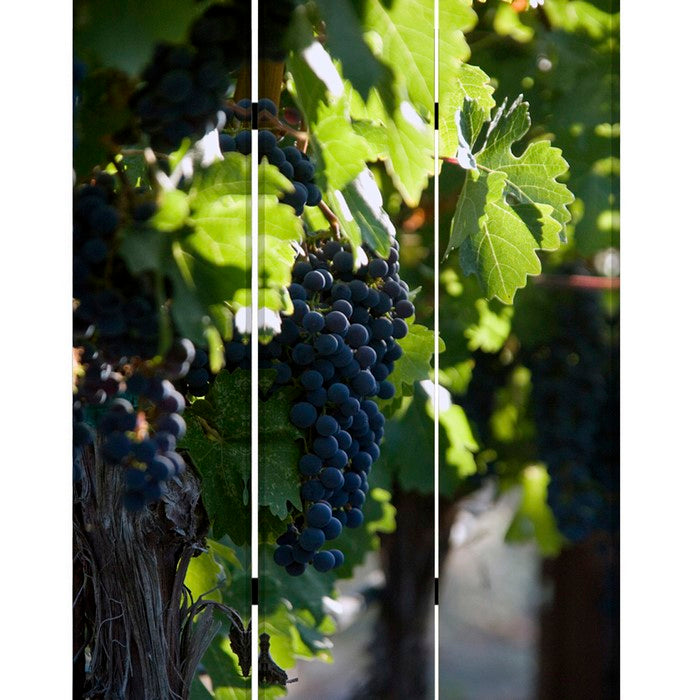 Grape Vine Print Foldable Canvas Screen with 3 Panels, Multicolor