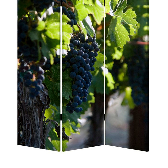 Grape Vine Print Foldable Canvas Screen with 3 Panels, Multicolor