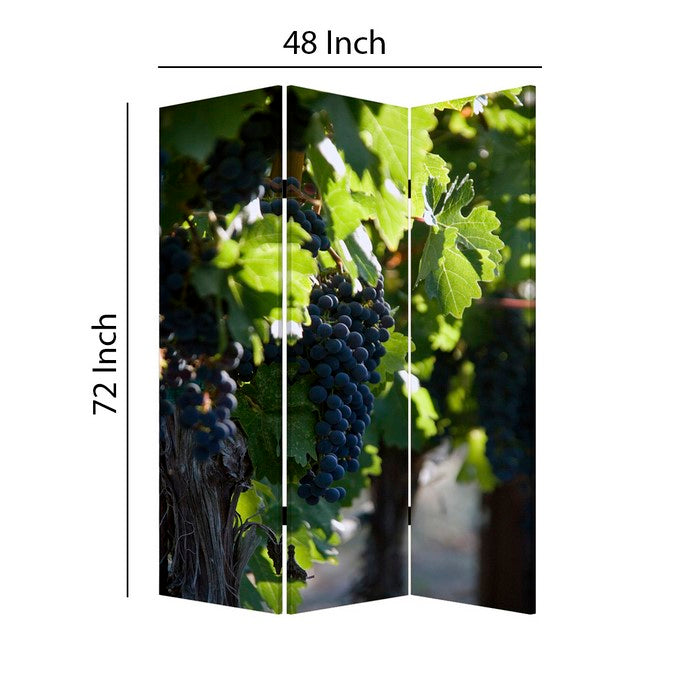 Grape Vine Print Foldable Canvas Screen with 3 Panels, Multicolor