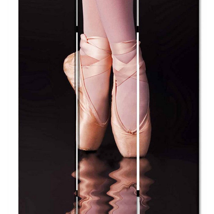 Ballet Shoe Print Foldable Canvas Screen with 3 Panels, Black and Pink