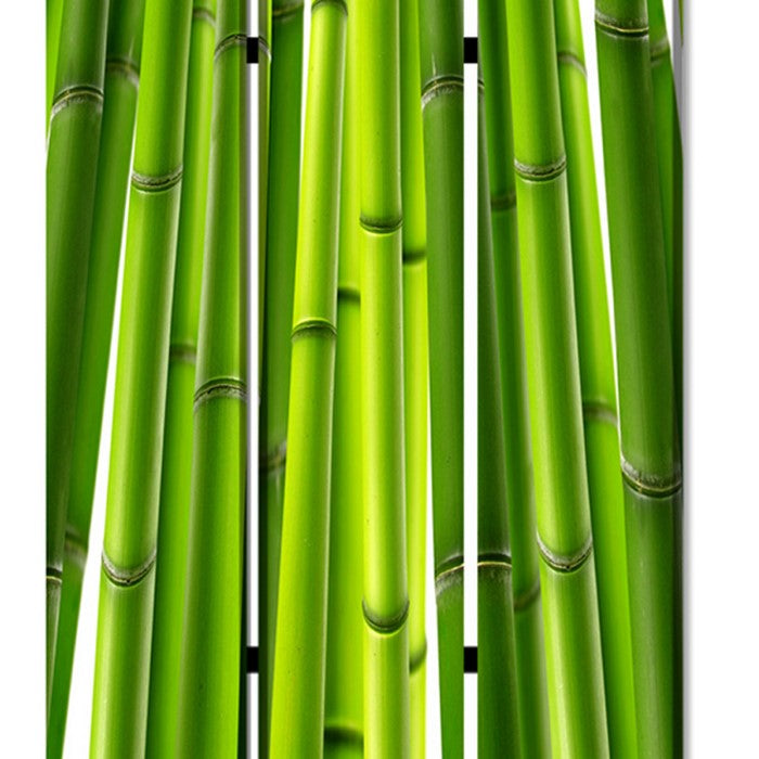 3 Panel Foldable Room Divider with Bamboo Design Print, Green
