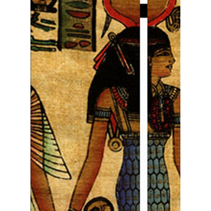 3 Panel Egyptian Safari Print Foldable Room Divider, Multicolor