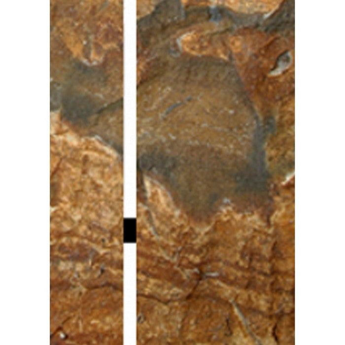 3 Panel Canvas and Metal Frame Room Divider, Slate Brown