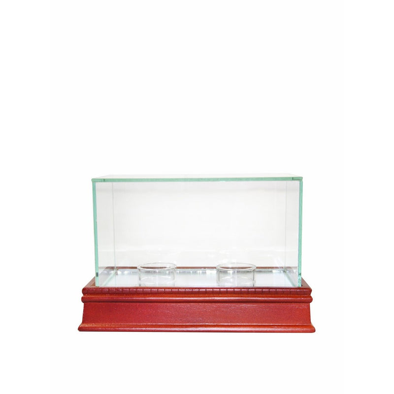 Steiner Sports Glass Double Baseball Case