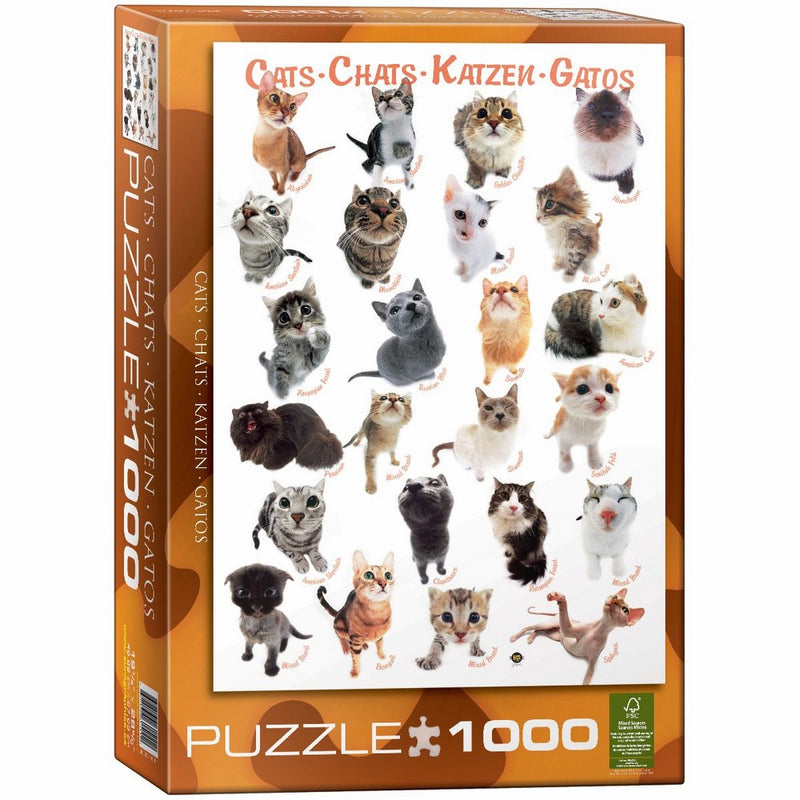 EuroGraphics Cat Breeds Puzzle (1000-Piece)