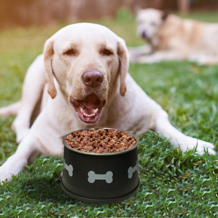 Paw and Bone Design Stainless Steel Pet Bowl For Long Ear Dog, Black and Silver