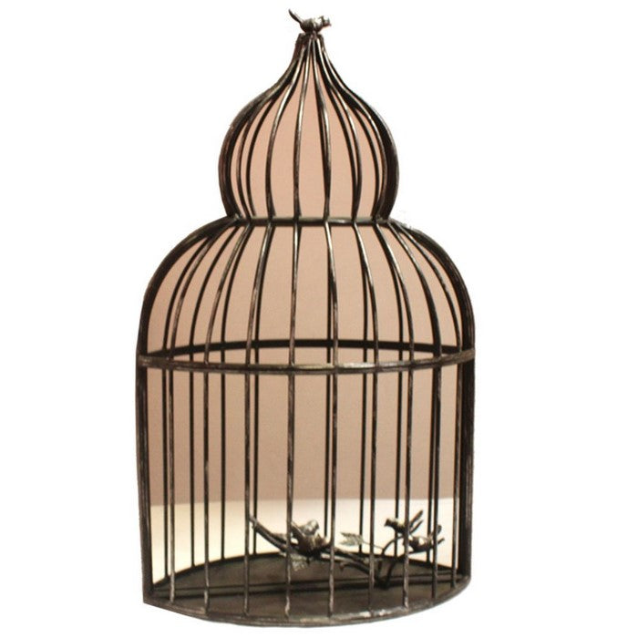 Bird Cage Iron Frame Garden Mirror with Decorative Accent, Silver and Clear