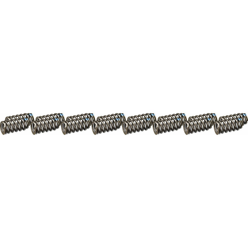 Ford Racing M-6513-M50BR Valve Spring Kit for Ford Mustang Boss 302R 5.0L Engine