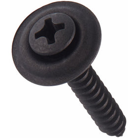 Auto Body Doctor ABD6310 Oval Head Trim Screw (Philips)