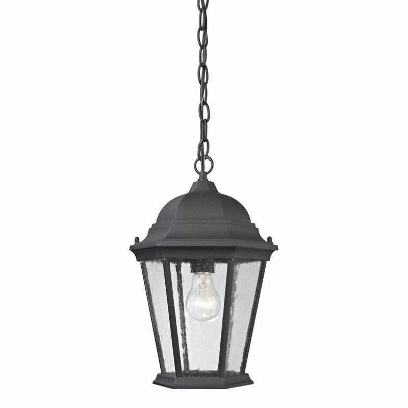 Thomas Lighting Temple Hill Pendant, Matte Textured Black