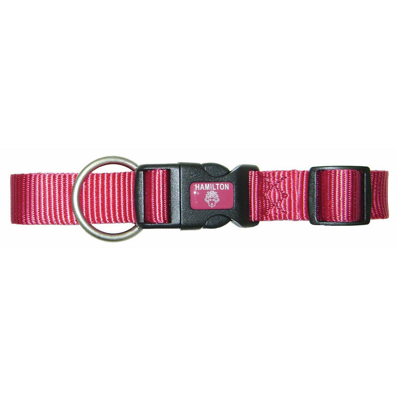 Hamilton Adjustable Dog Collar with Brushed Hardware