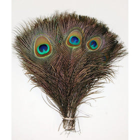 100 Pcs Peacock Feathers 10"-12"
