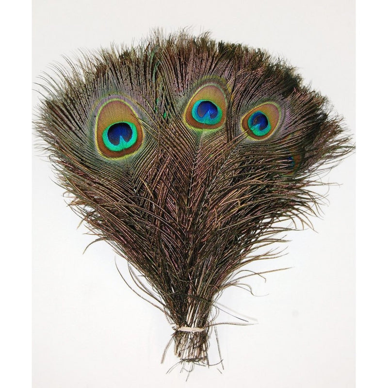 100 Pcs Peacock Feathers 10"-12"