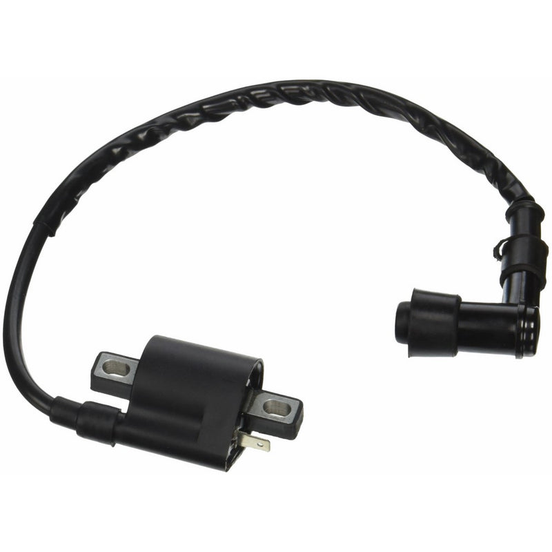 Newmotoz 50cc 70cc 90cc 110cc 125cc 200cc 250cc Atv Quad Dirt Bike Ignition Coil