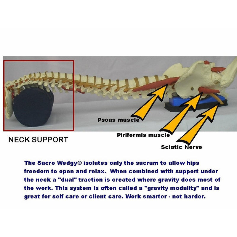 Neck Roll Support by Sacro Wedgy